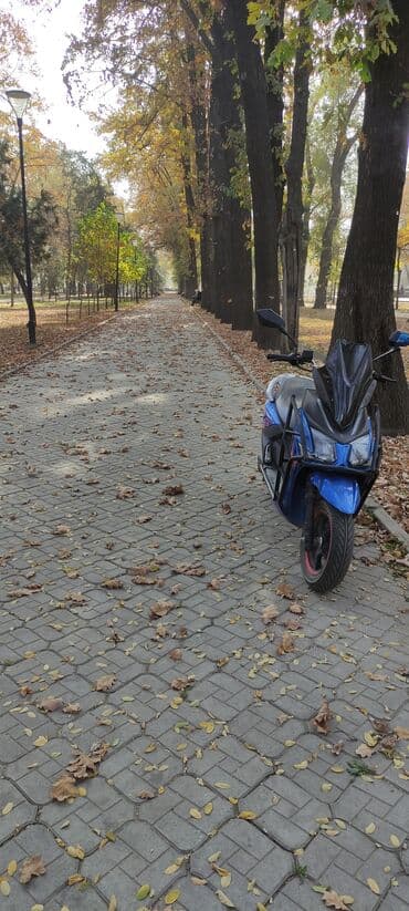 продаю настольный теннис: Гироскутеры — 1