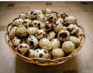 дополнительный свет: Перепелиные яйца - Натуральные перепелиные яйца,свежая очень — 1