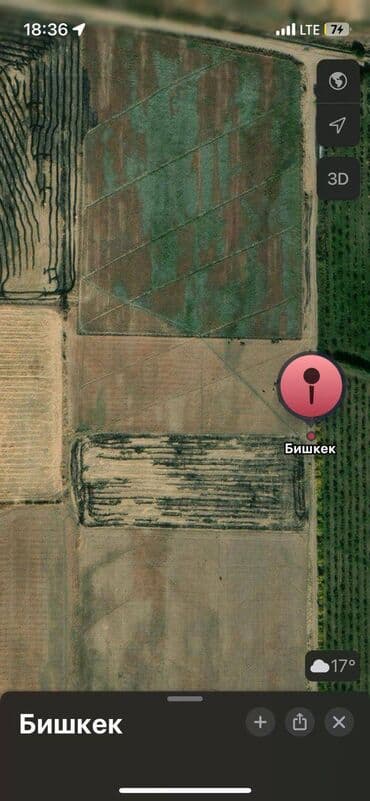 участок дом в селе байтик: 100 соток, Для строительства, Красная книга — 2