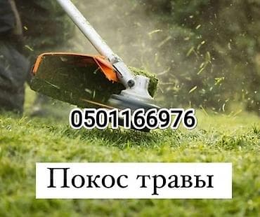 уборка снега: Уборка территории, Уборка снега, Уборка двора и сада, Чистка брусчатки — 1