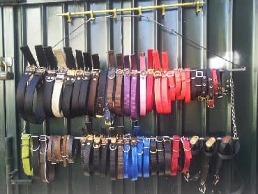 Амуниция для собак . ошейник поводок, шлейка, намордник. От