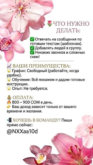 работа дом: Начинай исполнять свои мечты — 1
