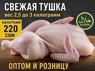 матка пчел: Свежая куриная тушка, халяль. - Вес одной тушки: от 2,5 до 3 кг - — 1