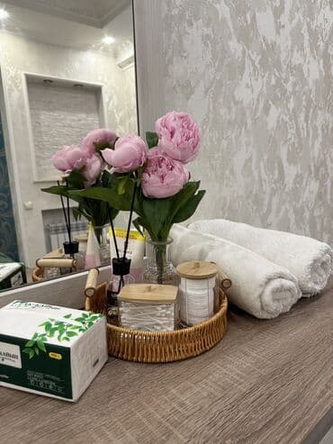 иссык куль комната: 2 бөлмө, Душ кабинасы, Жаздык, жууркан-төшөк каптары, Кондиционер — 1