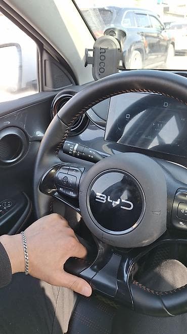 Унаа: BYD E2: 2025 г. — 4