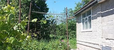 участки дома бишкек новопокровка: 12 соток, Для сельского хозяйства, Красная книга — 5