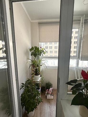 3 комнаты, 94 м², Тунгуч мкр Элитка, 2 этаж, Евроремонт — 9
