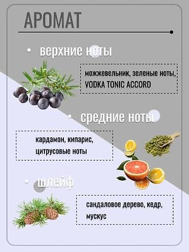 pull beer: Мужская туалетная вода Full Speed, 75 мл - Семейство аромата: свежий — 2