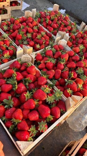 дунганская кухня: Предлагаю свежий и ароматный лагман домашнего приготовления. Блюдо — 4