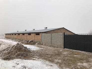 сарай для скота: Сдаю Кошару, от Шлагбаума 10км. возле объездной дороги. Участок 30 — 1
