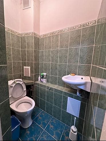 дом бишкек: 2 комнаты, 51 м², Индивидуалка, 1 этаж, Старый ремонт — 10