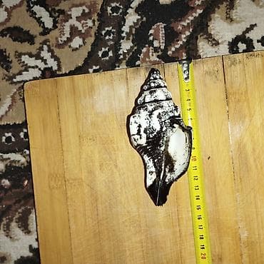 Башка жаныбарлар: Аквариумный комплектован тумбой 90л дополнительно продаю кампрессор — 5