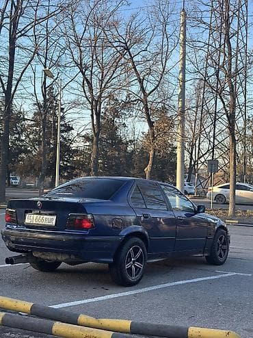 e 55 amg: BMW 3 series: 1991 г. — 4