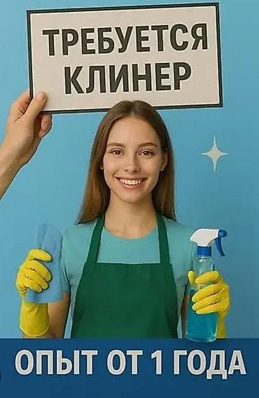 средства для химчистки: Ищу девушек и парней в клинингувую фирму желательно с опытом не — 1