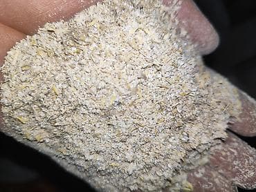 Продаю ячмень местный для корма КРС Мрс есть находится в селе