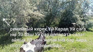 Требуется Скотник, Оплата: Ежемесячно