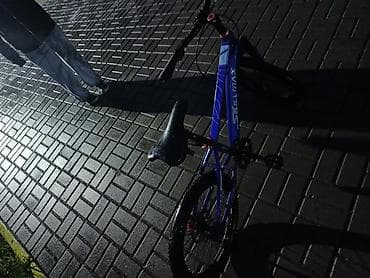 зимние шорты: Подростковый велосипед, Б/у — 4