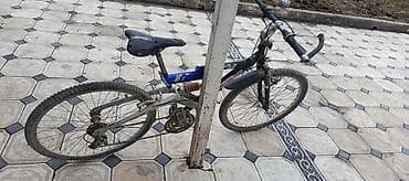 Велосипеддер: Тоо велосипеди, Болот — 2