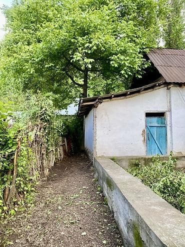 бакай ата ж м: 8 соток, Кызыл китеп — 4