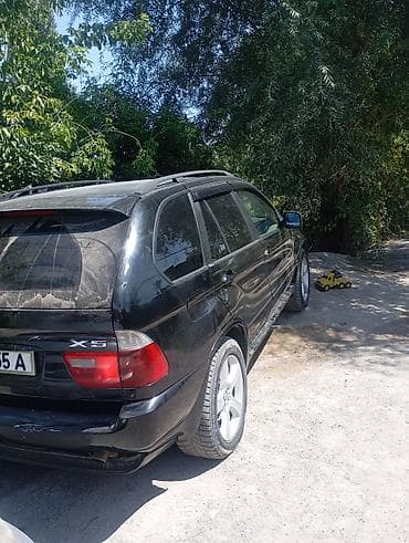 w124 e: BMW X5: 2002 г., 3 л, Автомат, Бензин, Кроссовер — 4