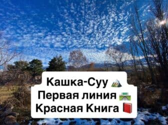 дом в сокулуке районе рэс: 15 соток, Для бизнеса, Красная книга — 1