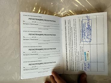 корги сабака: Колли, 6 месяцев, Самец, С прививкой — 5