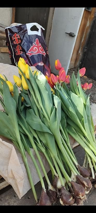 Организации и предприятия, цветочные магазины предлагаем к