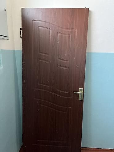 Ремонт и строительство: Двери для домов и квартир, Металлическая — 1