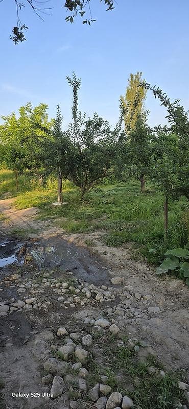 продажа гаражей: Питомник растений, 22 соток, Действующий, Без оборудования, Электричество — 3
