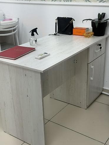 стол школ: Стол для маникюра/рабочий стол мастера - Цвет/декор: светлый — 2