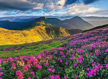 земля карабалта: 4 соток — 1