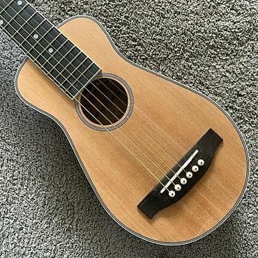 Распродажа! Travel гитара "Harley Benton" Traveler E-Steel. Германия — 4