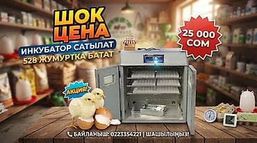 Оборудование для бизнеса: Инкубатор для яиц — вместимость 528 штук. Особенности: - — 1