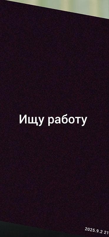 топчу тигем: Услуга: соискатель ищет работу Коротко о предложении: - Активно ищу — 1