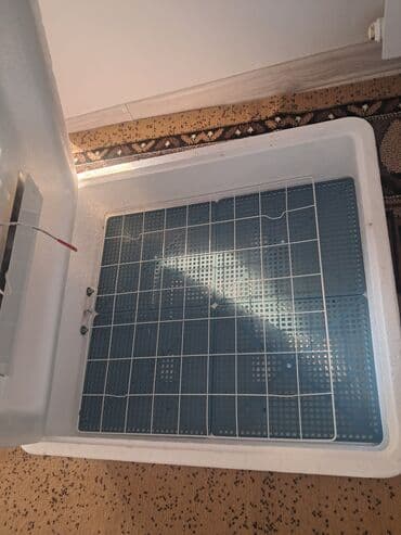 оборудование для производства пенобетона: Инкубатор бытовой «Несушка» - Материал корпуса: пенополистирол с — 2