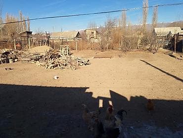 дом жээк: Кочкор центрдан 5 бөлмөлүү үй сатылат. үйдүн көрүнүшү сүрөттөдүгөй — 5