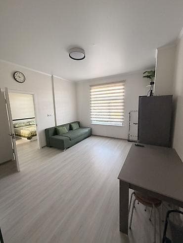 квартира 2 к: 1 комната, 35 м², Индивидуалка, 1 этаж, Евроремонт — 4