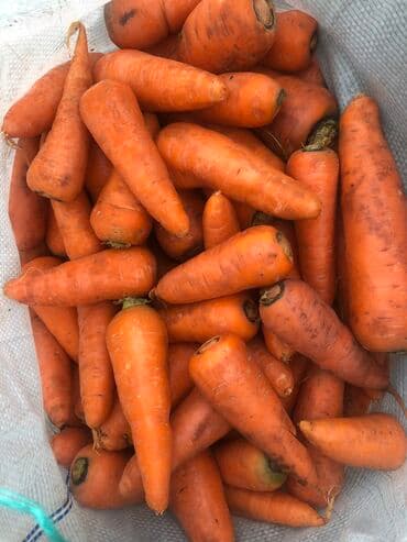 дом попугая: Кормовая мытая морковь для КРС и МРС в мешках — 1