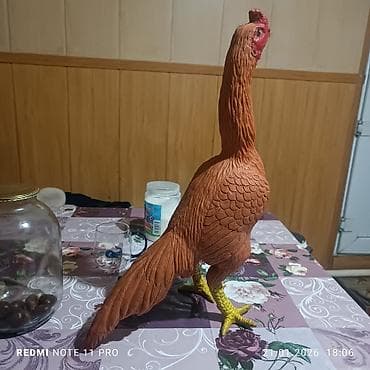 бойцовые птицы: Продаю грушу резиновый для тренировки петухов бойцовых 3000 т сом — 4