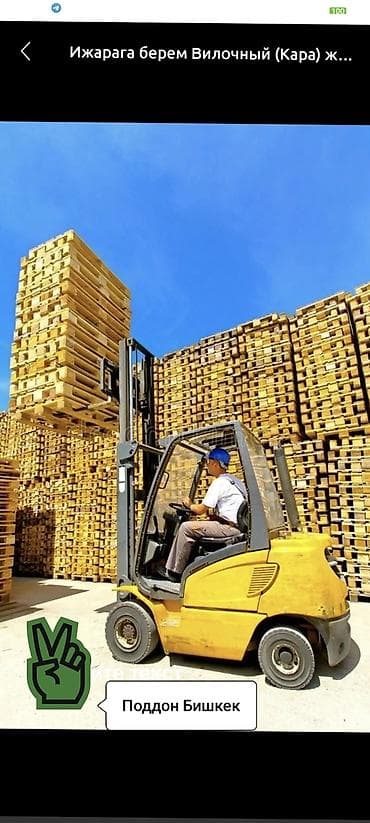 полеты: Поддон В наличии — 6