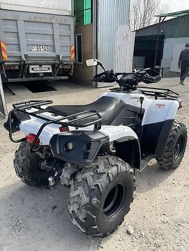Скутеры: Квадроцикл Linhai 300 (4x4) - Мощный утилитарный ATV с полным — 8