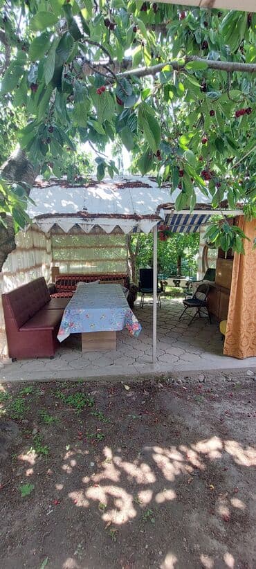 отдых на иссык куле 2021 цены: Номер, Чолпон-Ата, Унаа токтотуучу жай, унаа туруучу жай — 8