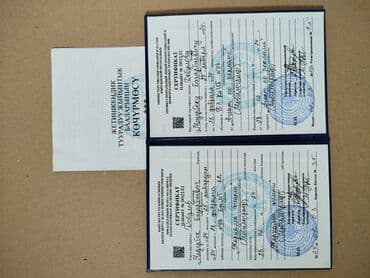 гибкий график работа бишкек: SMM-специалист. 37 — 8