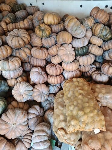 Продаю тыкву ромашку