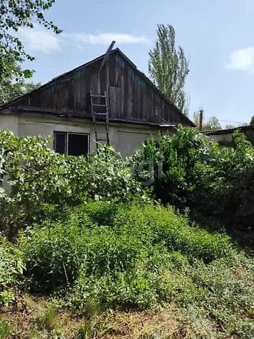 айни чапаева: 4 соток — 3