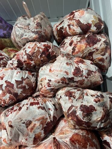 файл папка цена бишкек: Баш, Боор, Ичек- карын, 10 кг ашык, Акылуу жеткирүү — 9