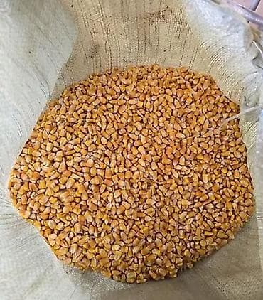 Кукуруза рушаная (крупного и среднего помола) - Фракция: смесь