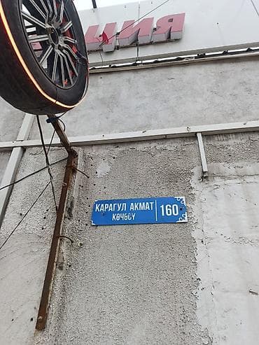 255 55 р19: Шины 255 / 50 / R 19, Лето, Б/у, 1 шт, Внедорожные (АТ/МТ), Япония, Pirelli — 4