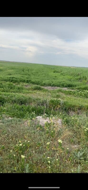 Сдаю землю в аренду 8 гектар земли Местоположение московский район