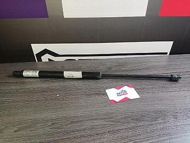 leksus: Демпфер багаж YOKOMA Модель: LEXUS RX-330 GCU35 03-08 Артикул — 1